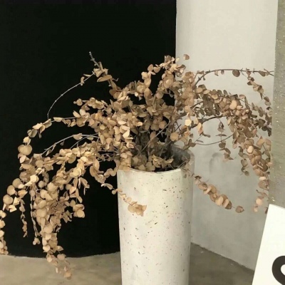 兽设配色实用搭配指南FurryQQ群